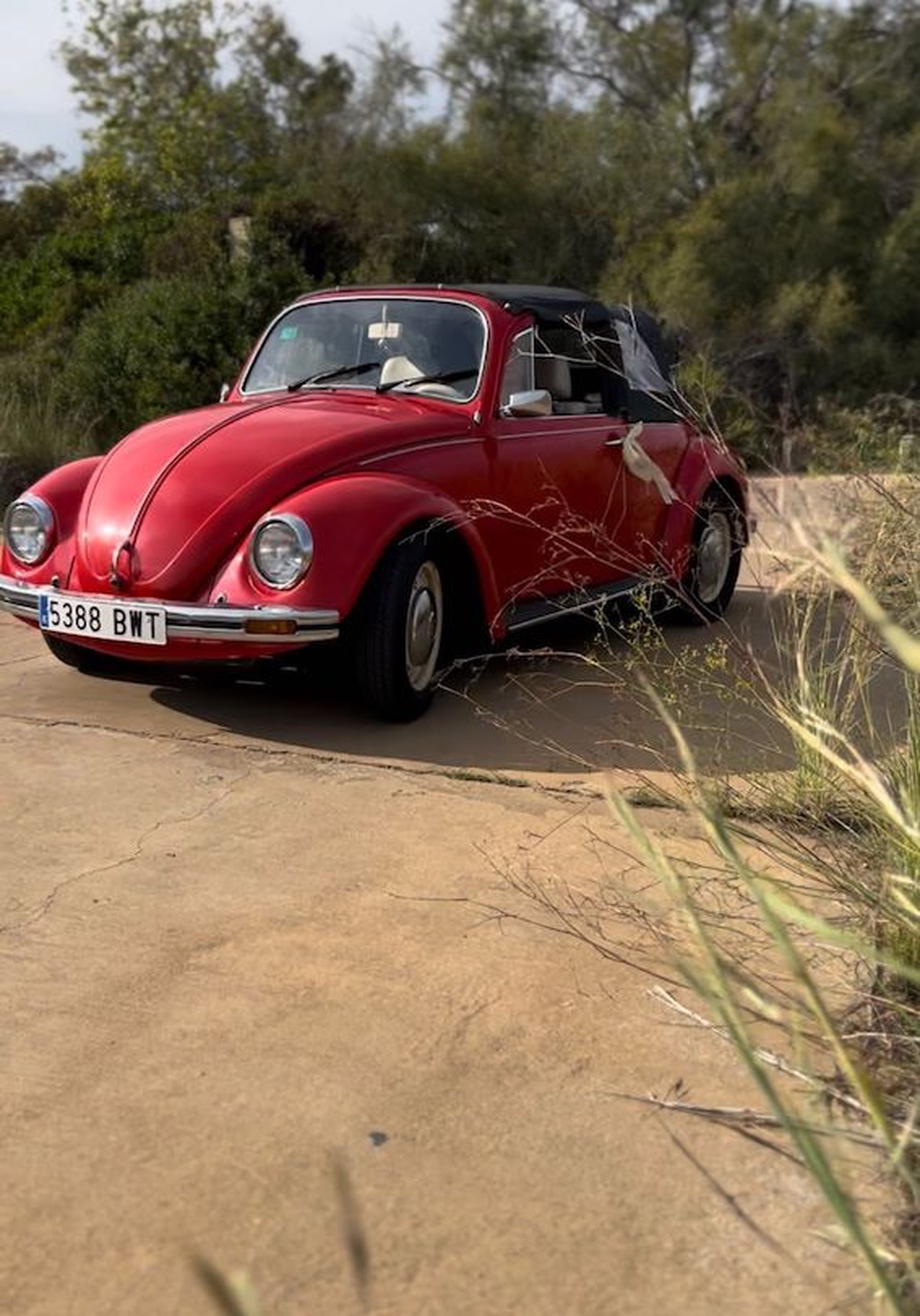 Lee más sobre el artículo Sayo Bellvís Cobo presenta su Volkswagen Beetle Cabrio 1200 cc en la Feria Fiesta y Boda 2024